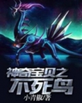 神奇宝贝之不死鸟小说,免费,阅读