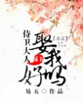 侍卫大人，娶我好吗