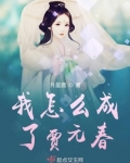 红楼憾梦:元春篇 作者