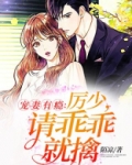 宠妻有瘾:厉少,请乖乖就擒