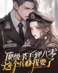 顶级杀手到八零:这个兵王我要了 目录共112章