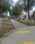 爱去跳舞的生活是什么歌