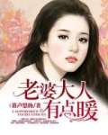 老婆大人有点暖