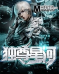 独尊星河