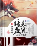 暗夜夫宠之司君要命