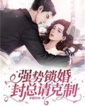 强势锁婚，封总请克制