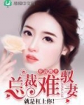 总裁难驭妻：就是杠上你！