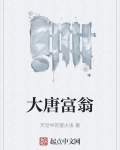 大唐富家翁笔趣阁