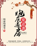 炮灰通房要逆袭百度云