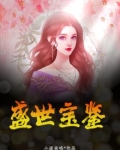 盛世宝鉴