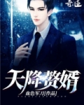 天降赘婿