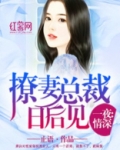 撩妻总裁日后见