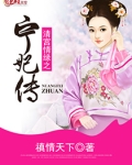 清宫情缘之宁妃传