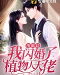出狱后,我闪婚了植物人大佬还叫什么名