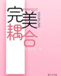 完美耦合有车吗