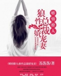 婚情撩人：狼性总裁娇宠妻