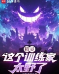 精灵：这个训练家太野了