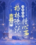 hp之格林德沃bg