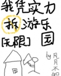 我凭实力拆游乐园