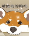 请做我的伙伴吧
