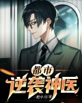 逆袭神医叶凡免费版