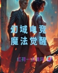 幻域之书