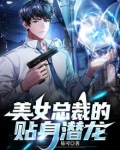 美女总裁的贴身潜龙
