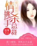 豪门缠情:情挑杀手总裁小说