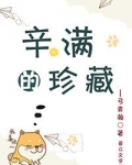 辛满的珍藏