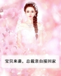 宝贝来袭，总裁亲自接回家