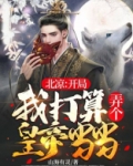 开局成为北凉王系统小说