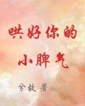 哄好你的小脾气TXT