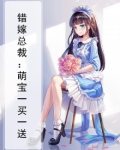 错嫁总裁:萌宝一买一送