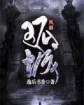风雨孤城小说
