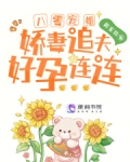 八零宠婚:娇妻追夫好孕连连