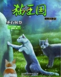 猫武士暗黑王国冰月