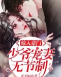 嫁入豪门:少爷宠妻无节制!