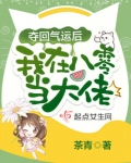 夺回气运后我在八零当大佬