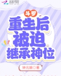 重生斗罗成为反派的小说