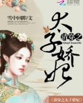 清穿之太子娇妃